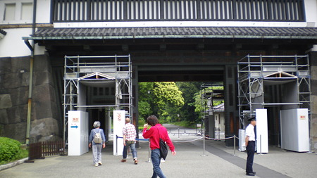 IMGP5118