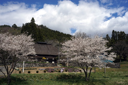 DSC03383