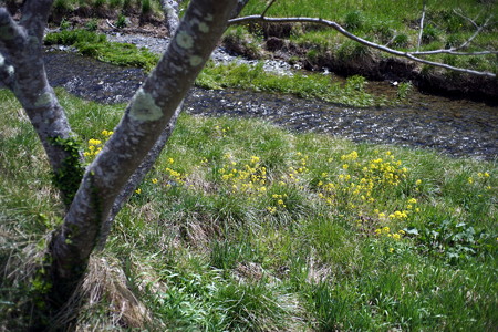 DSC03388