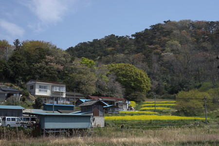 DSC03403-1