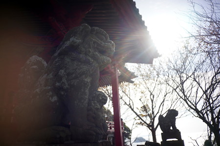 DSC04187