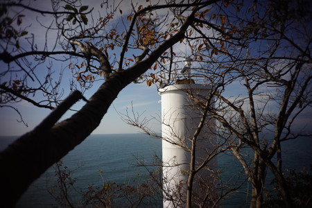 DSC04193