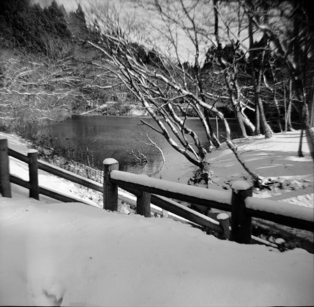 Image0011（FUJIPET EE）