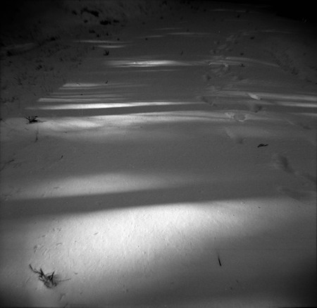 Image0010（FUJIPET EE）