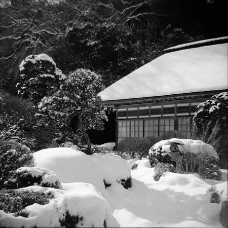 Image0020（PONIX）