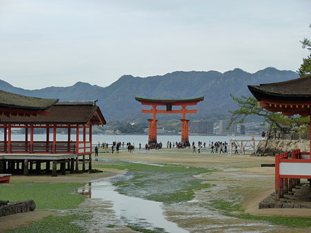 P1000153