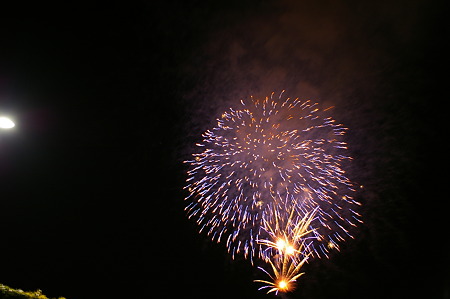 2010,03,03 (147)