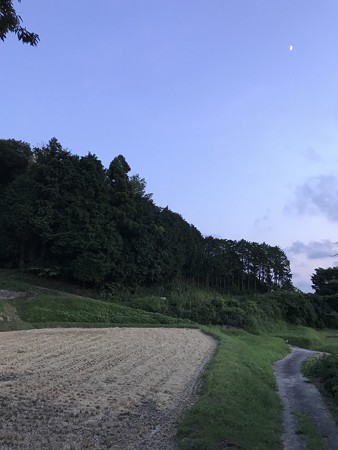 IMG_2930