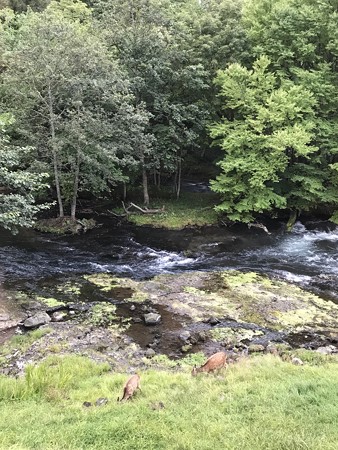 IMG_3103