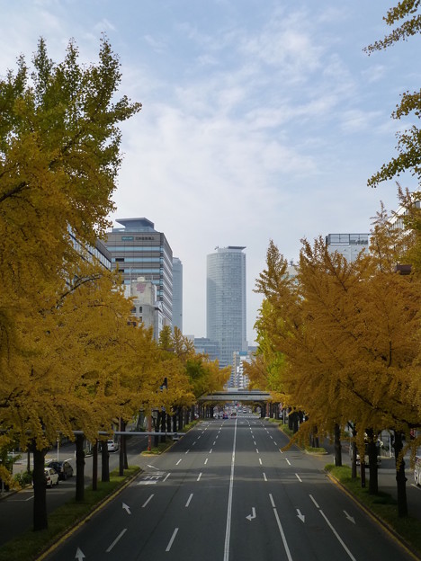 20121127桜通(名古屋駅付近)