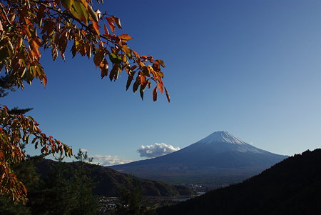 IMGP8945