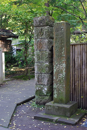 IMGP9038