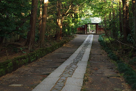 IMGP9377