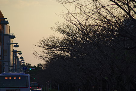 IMGP9453