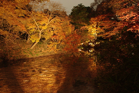 IMGP9854