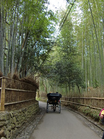 竹林と人力車