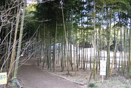 DSCN0857