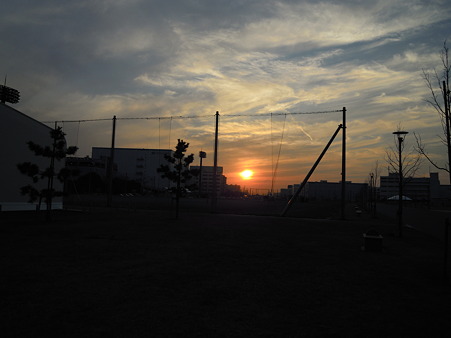 DSCN5399