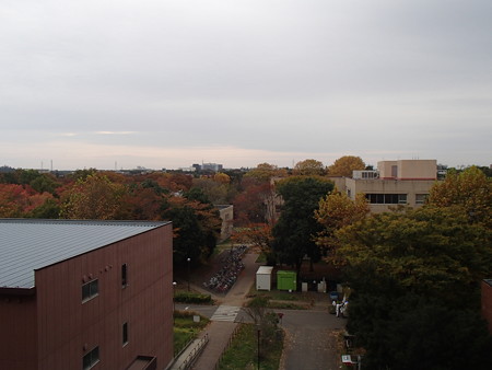 PB114506