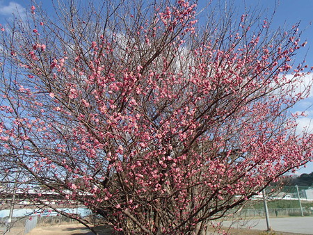 P2095030