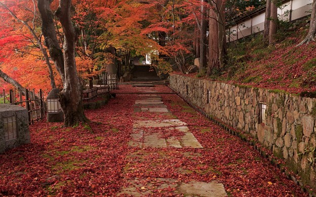 苗秀寺09