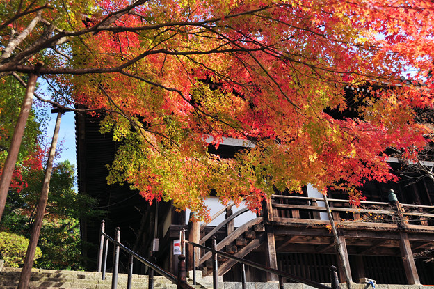 兵庫県 播州清水寺の紅葉 Photo Sharing Photozou