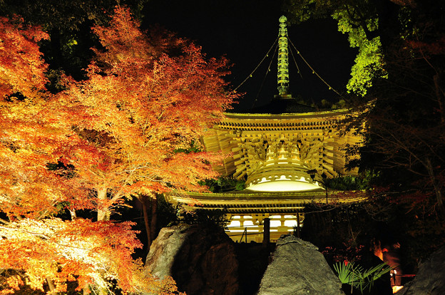 滋賀県 石山寺 紅葉 ライトアップ 写真共有サイト フォト蔵