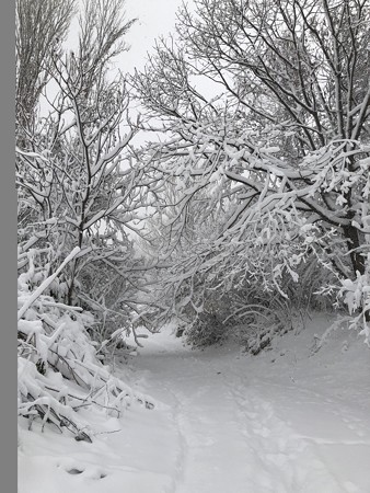 大雪(2017,11/19)