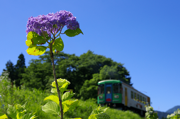 シーズンオフの樽見鉄道(7)