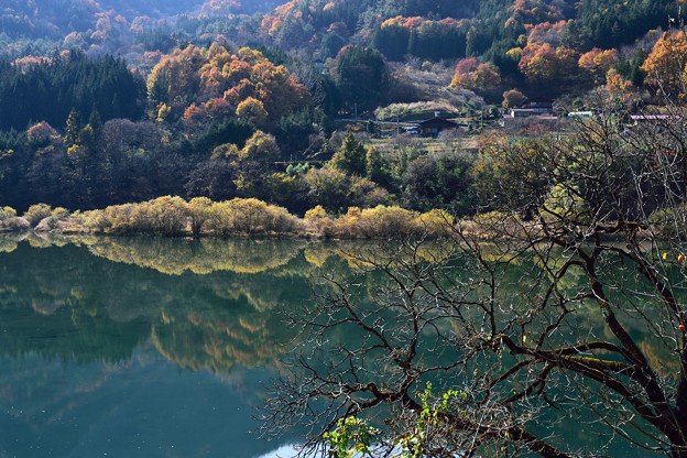 DSC_0012_011御嶽山　献花