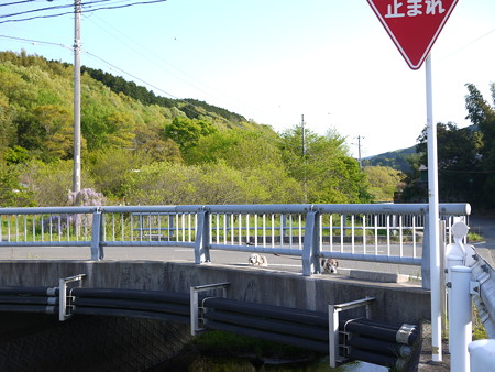 橋とビーグル@ビーグルがいる南箱根の景色