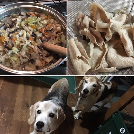 愛情たっぷりマリうみ飯だよん
