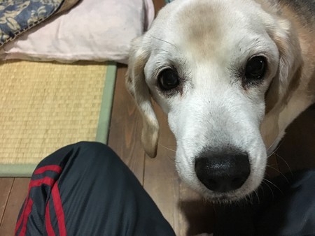 もうすぐ14歳だけど可愛い!