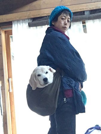 こんな風に散歩しましたよ