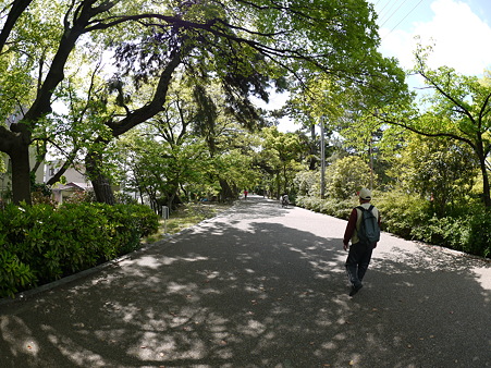 川沿いの歩道