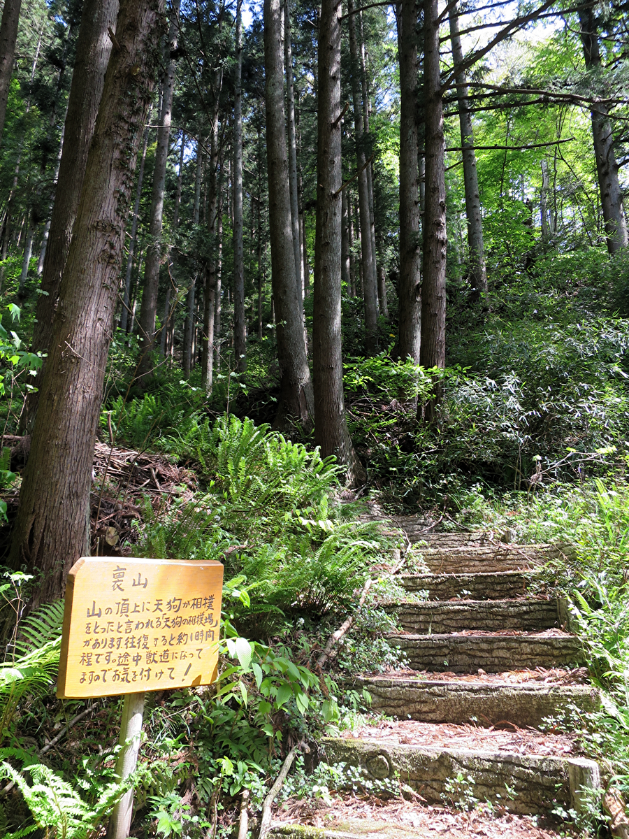裏山