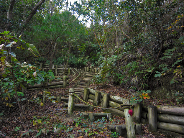 大久野島