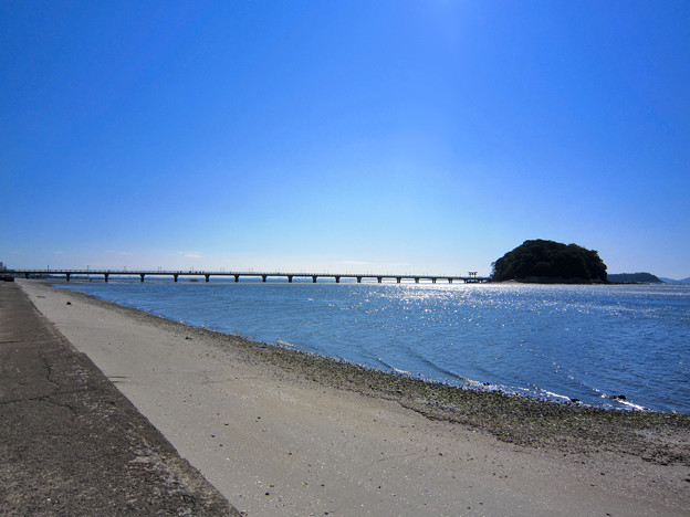 蒲郡市