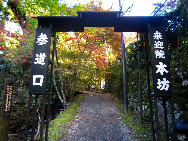大原