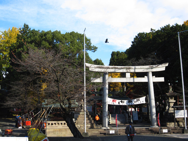 針綱神社