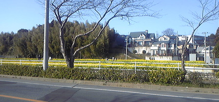 100314_153119
