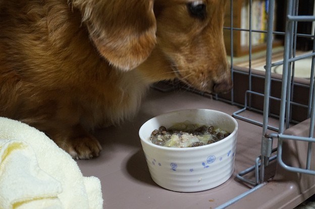 よし