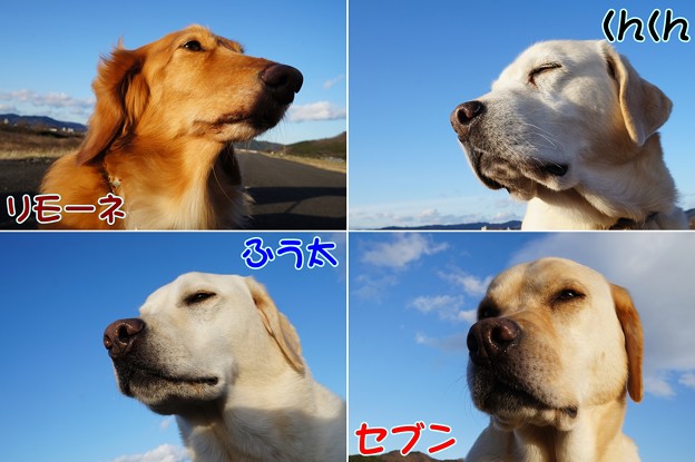 のぉ～んびり