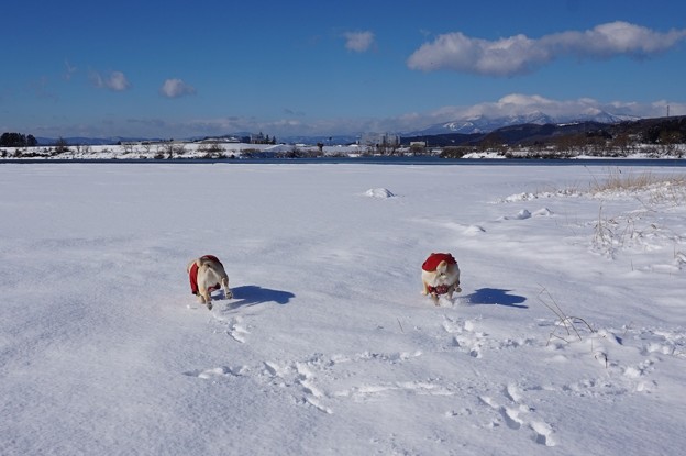 真っ白な川原