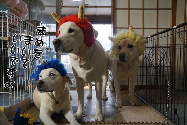 せつぶん
