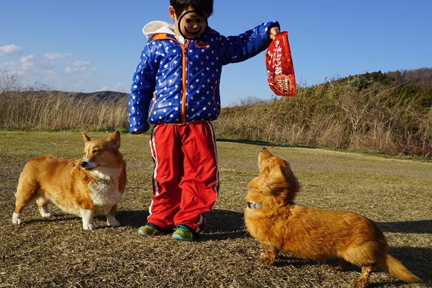 ちょうだいよ