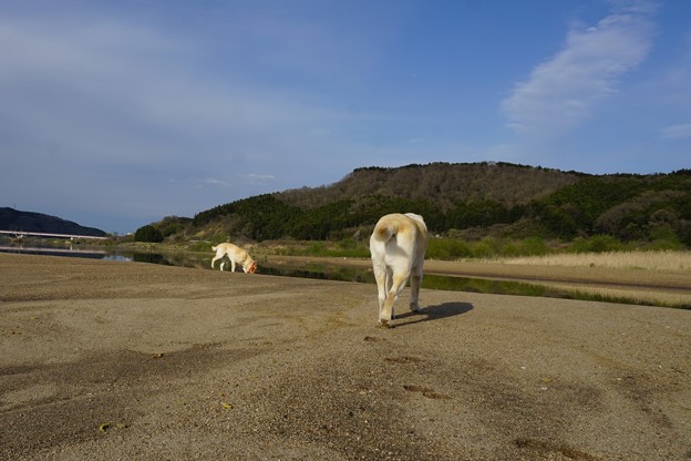 のんびり