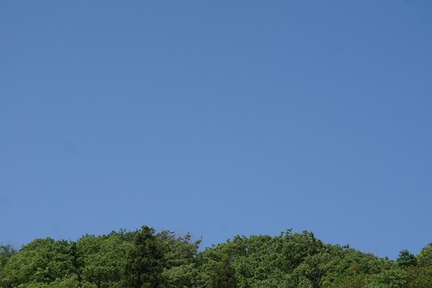 蒼い空