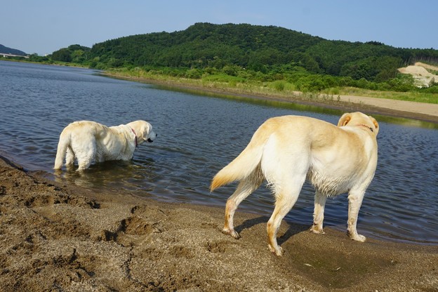 母と子