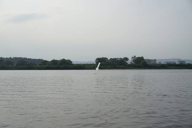 川遊び